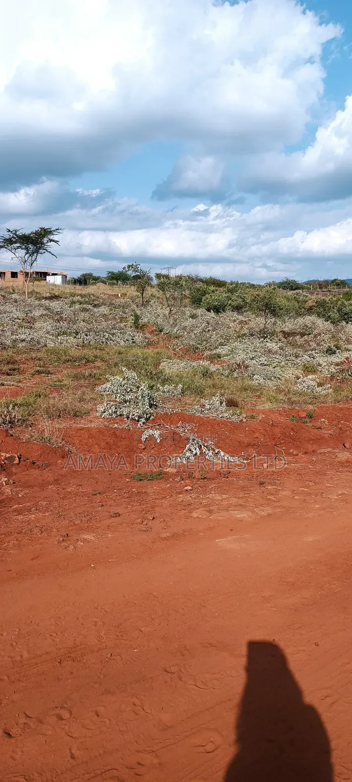 Affordable Land for Sale in Ngong Kimuka