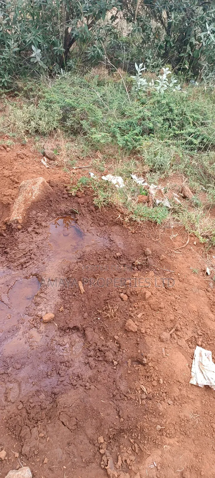 Affordable Land for Sale in Ngong Kimuka