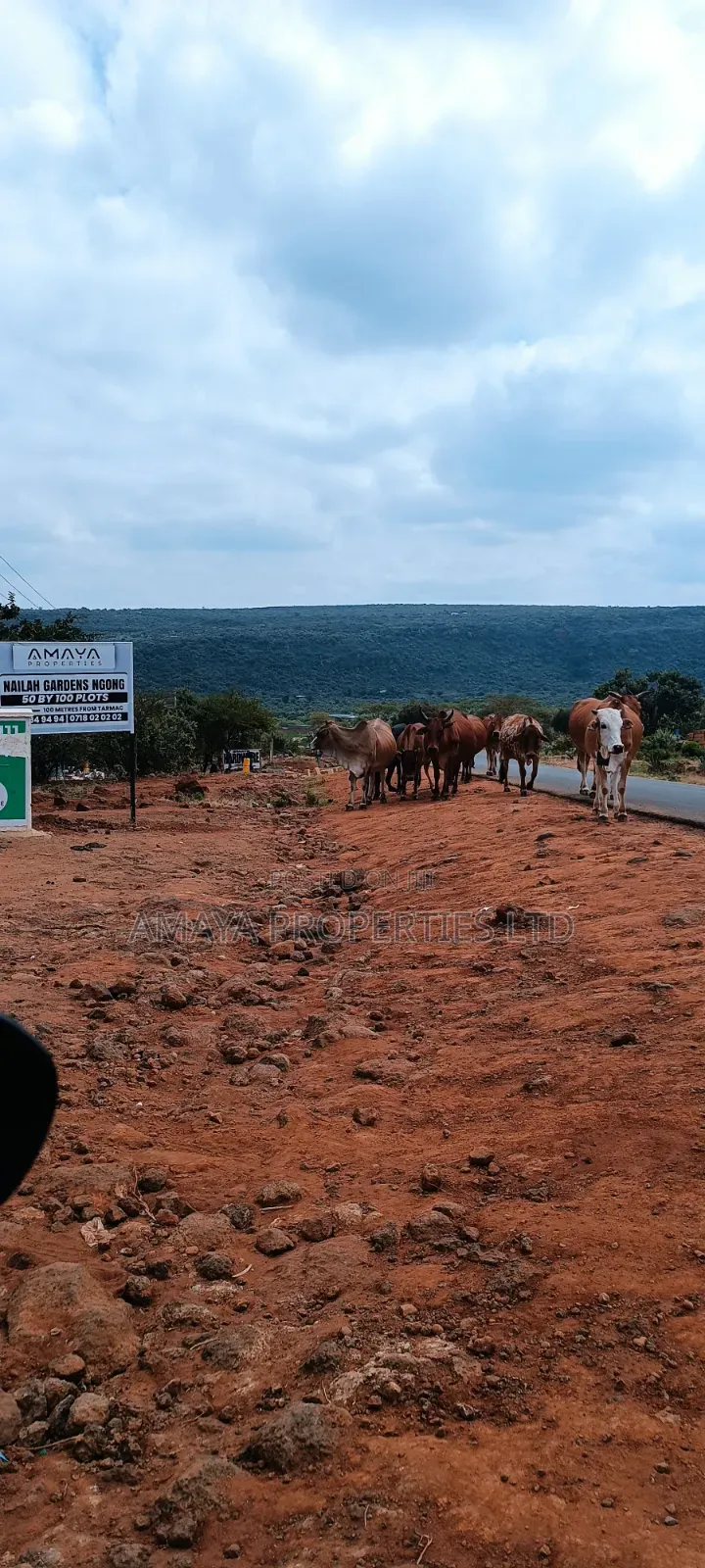 Affordable Land for Sale in Ngong Kimuka