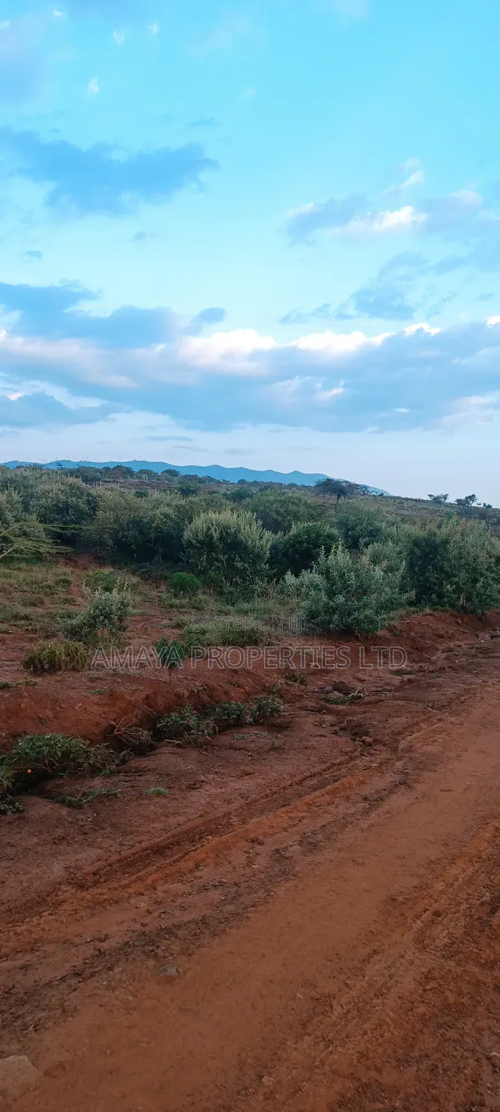 Affordable Land for Sale in Ngong Kimuka