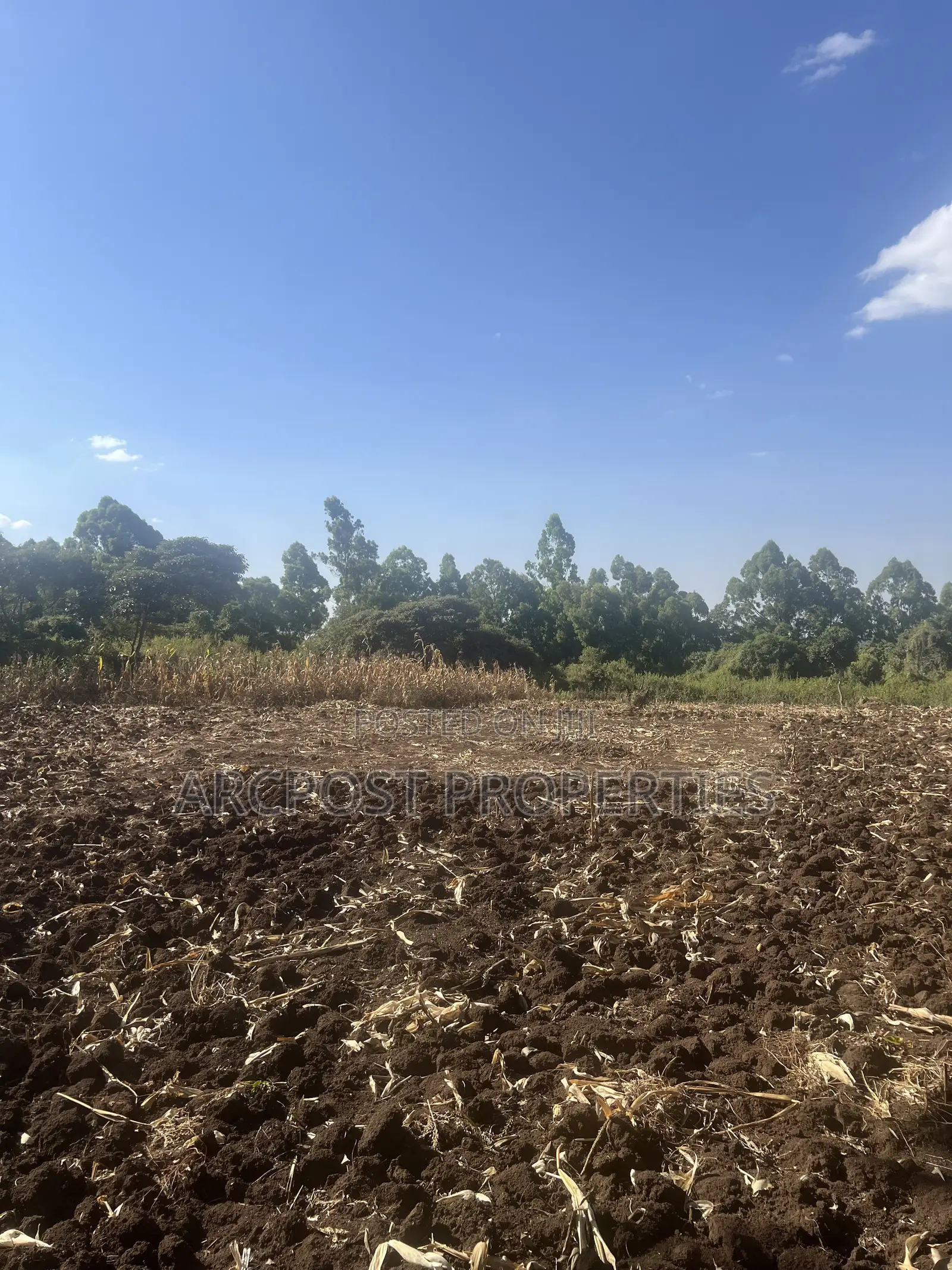1 Acre Prime Land for Sale in Olkeri – 300m From Tarmac