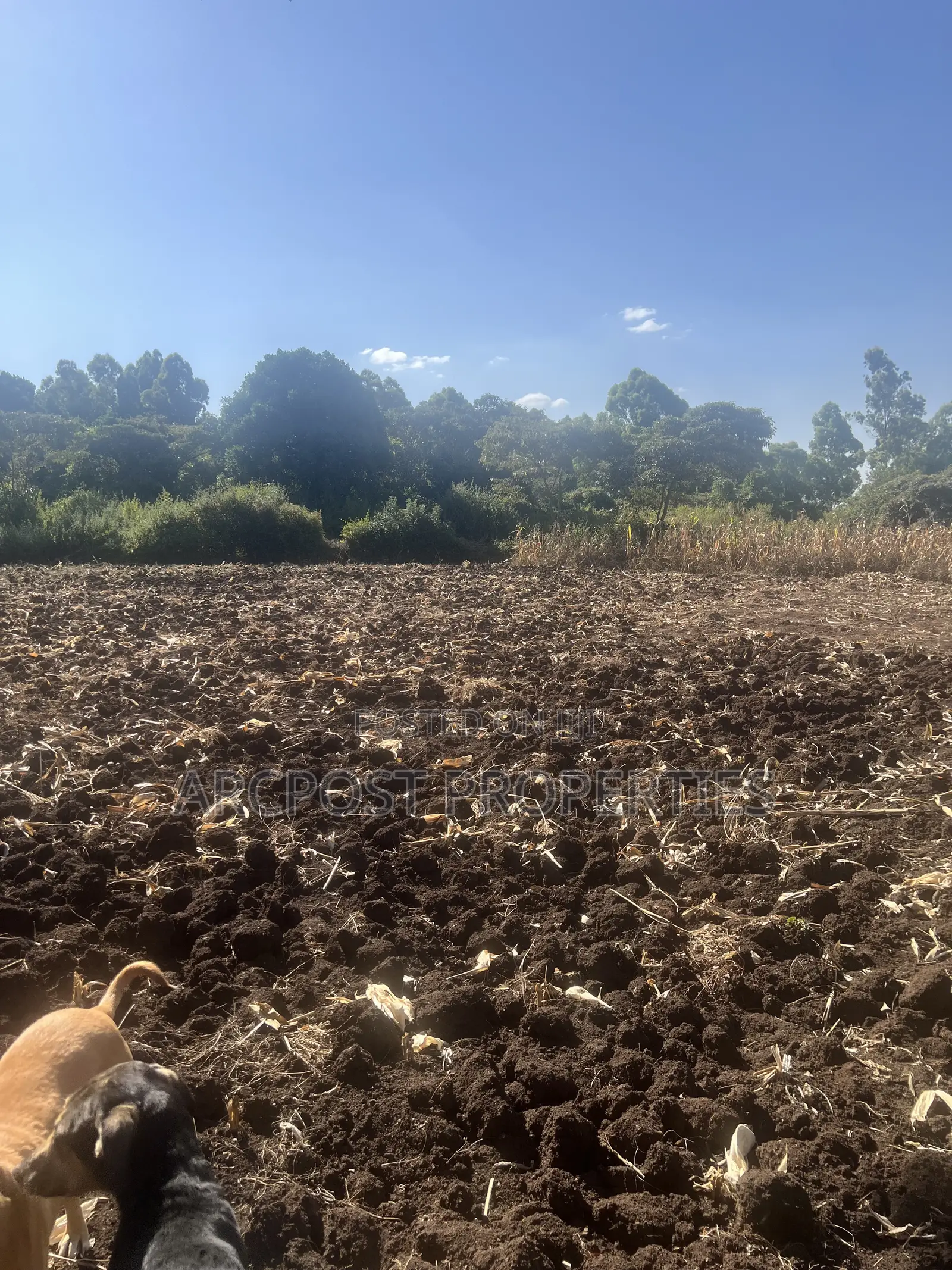 1 Acre Prime Land for Sale in Olkeri – 300m From Tarmac