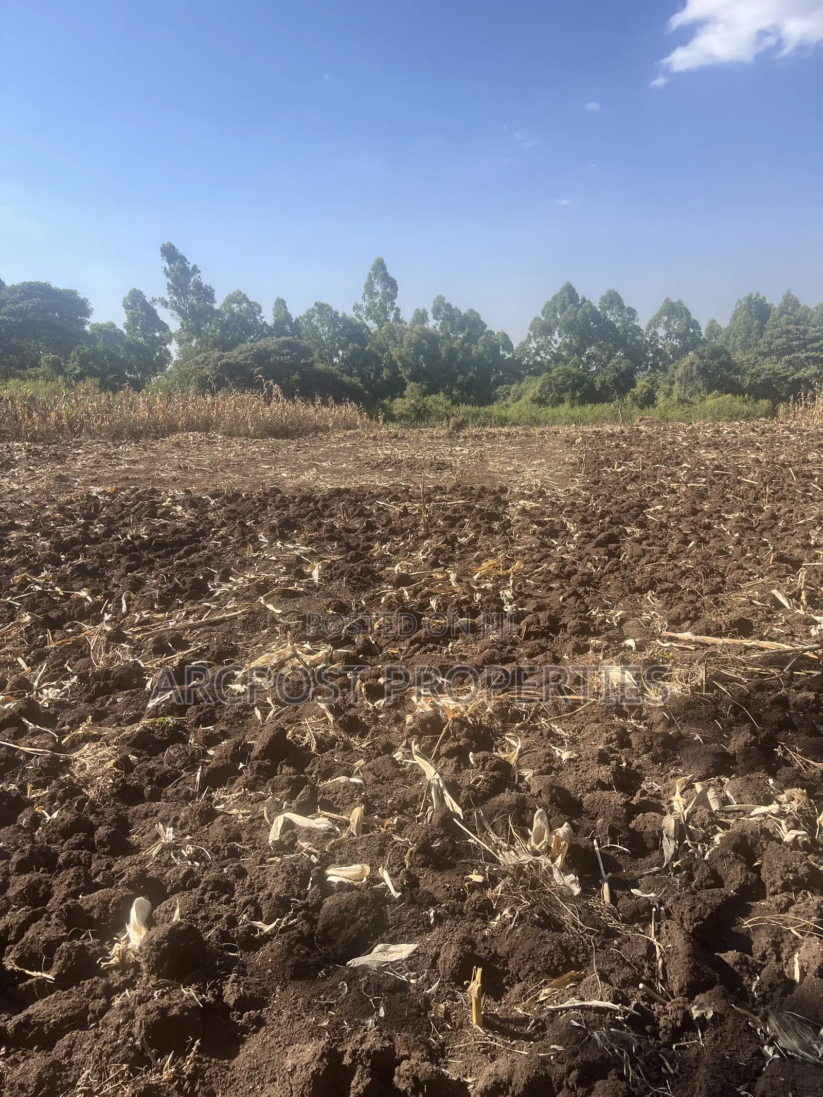 1 Acre Prime Land for Sale in Olkeri – 300m From Tarmac