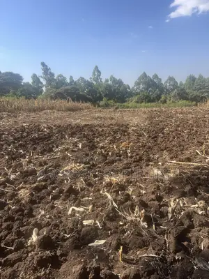 1 Acre Prime Land for Sale in Olkeri – 300m From Tarmac