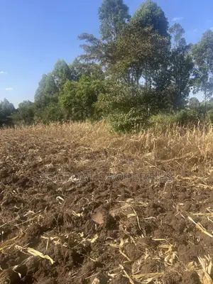1 Acre Prime Land for Sale in Olkeri – 300m From Tarmac