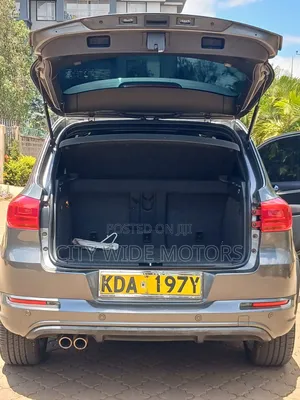 Volkswagen Tiguan 2015 Silver
