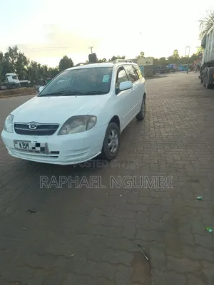 Toyota Corolla Fielder 2004 White