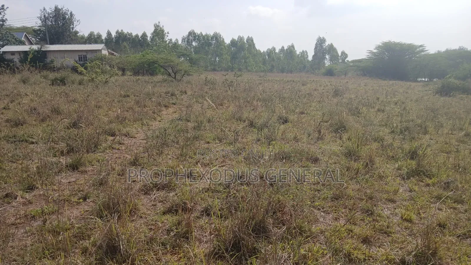 Land for Sale – Ongata Rongai, Masaai Lodge
Plot Size: 1/4 Acre