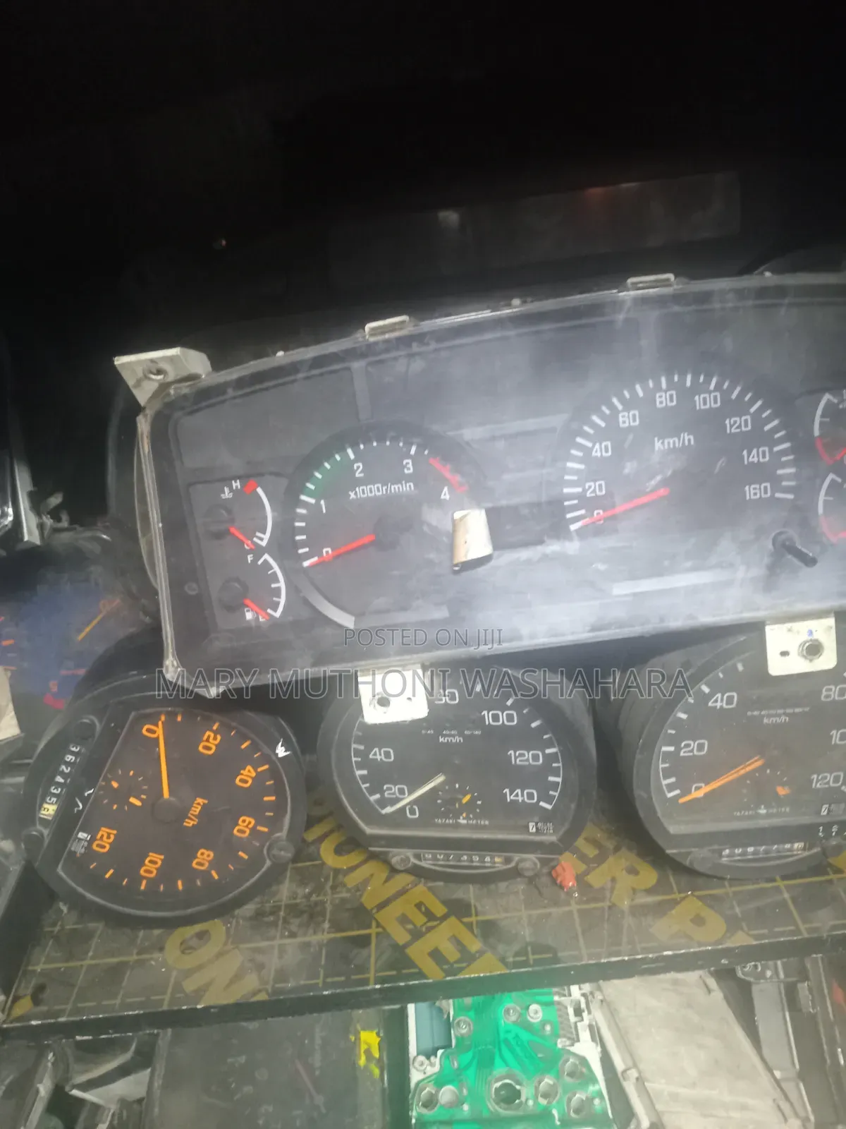 Rhino 500 Speedo Crock