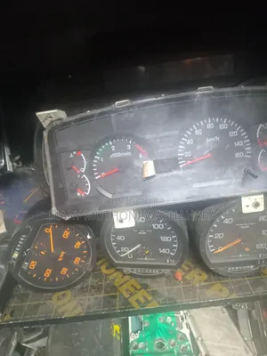 Rhino 500 Speedo Crock