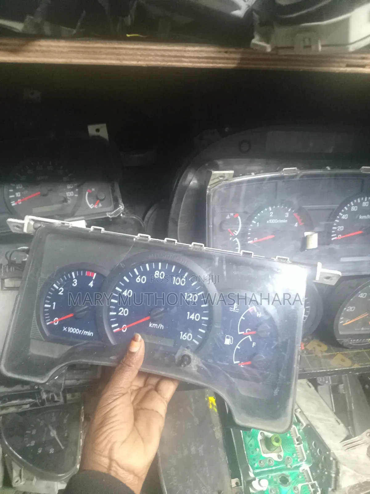 Rhino 500 Speedo Crock