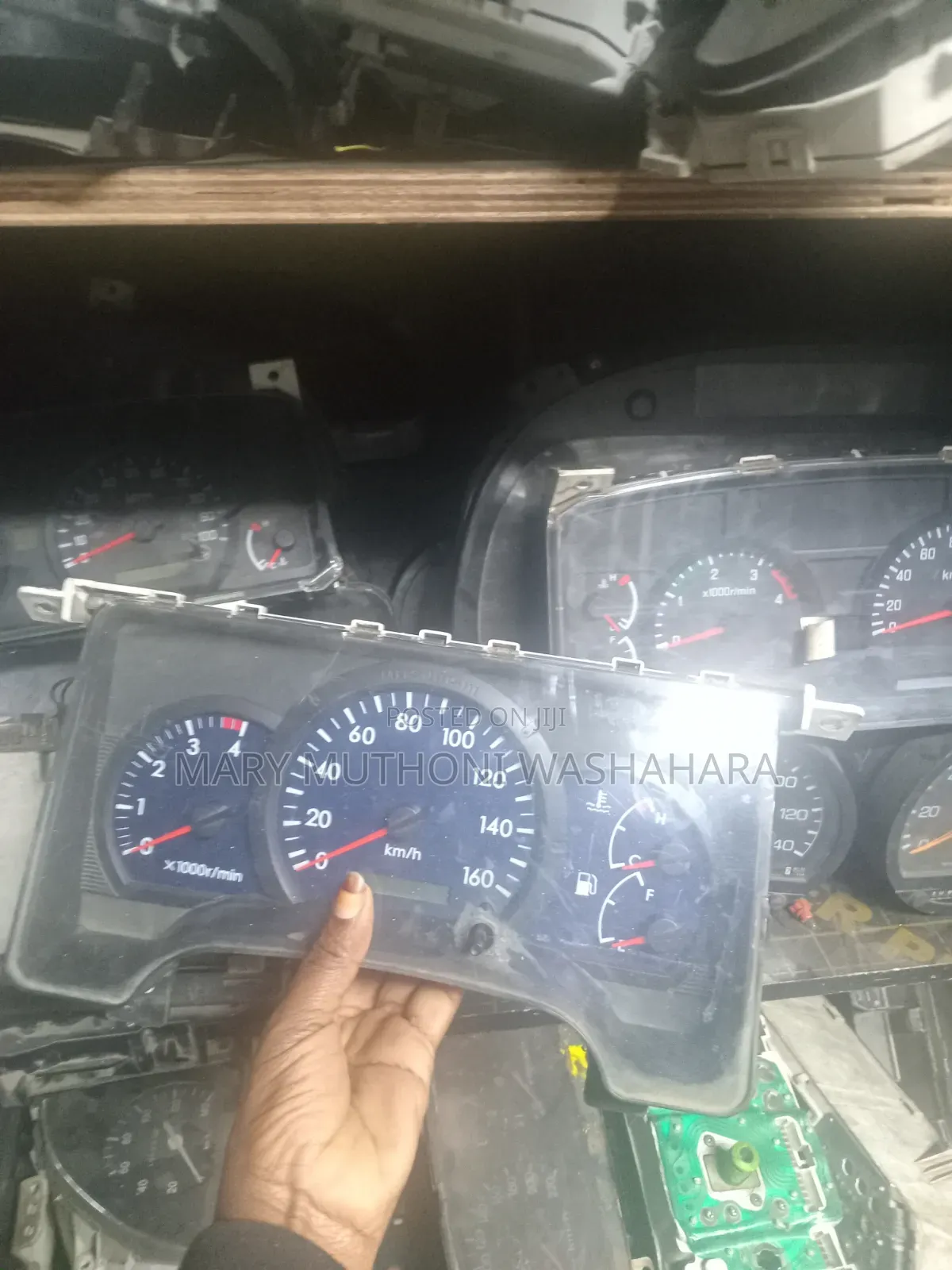 Rhino 500 Speedo Crock