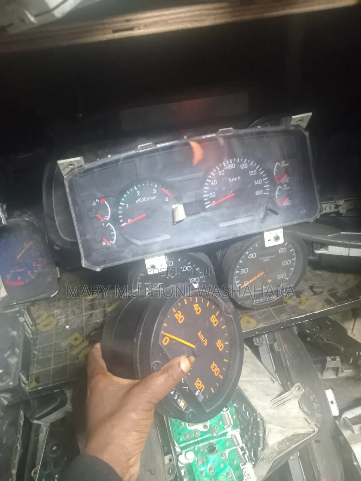 Rhino 500 Speedo Crock