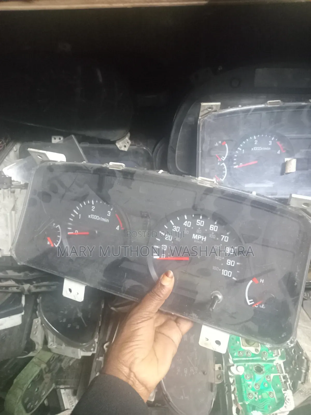 Rhino 500 Speedo Crock