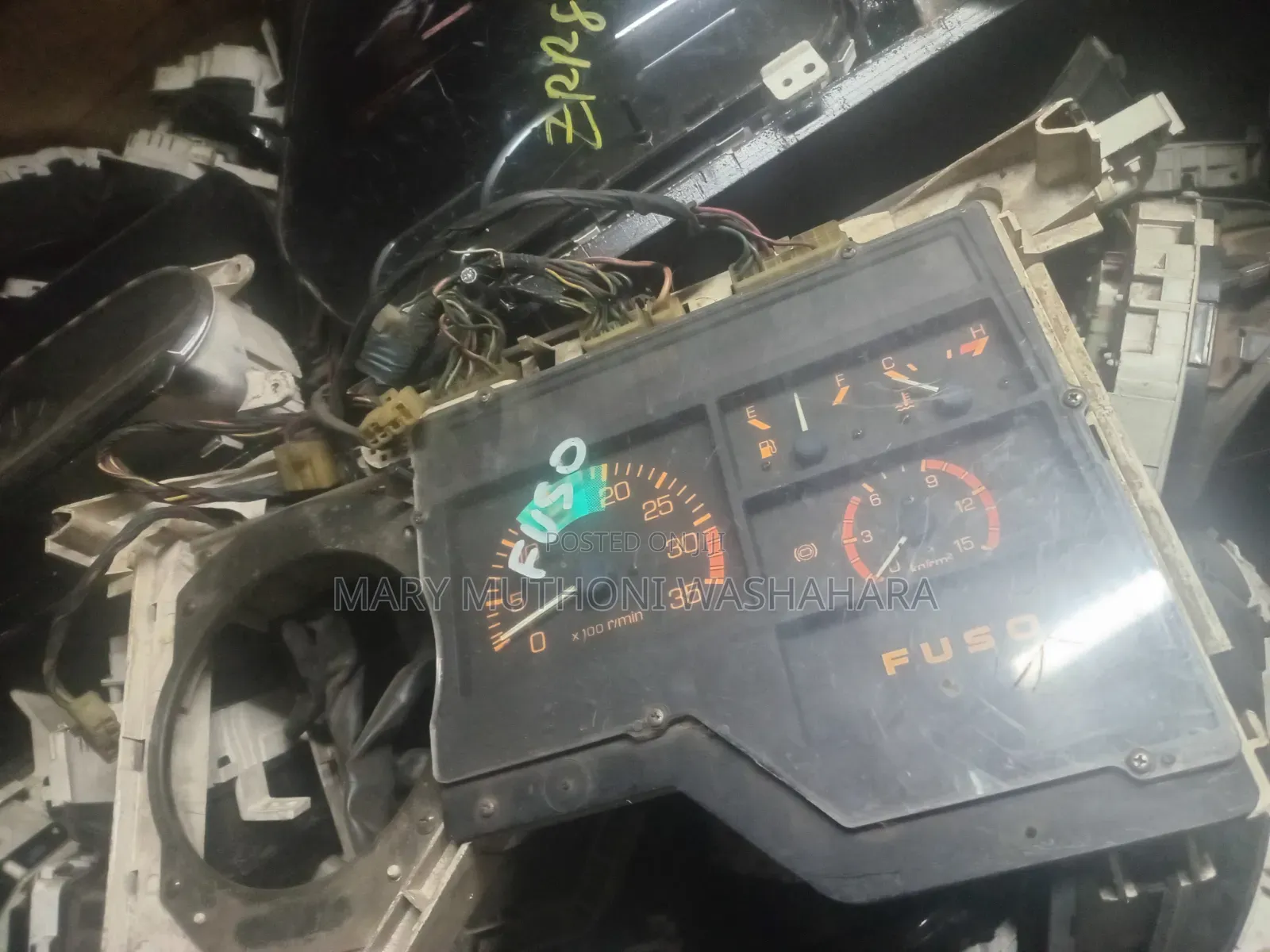 Rhino 500 Speedo Crock