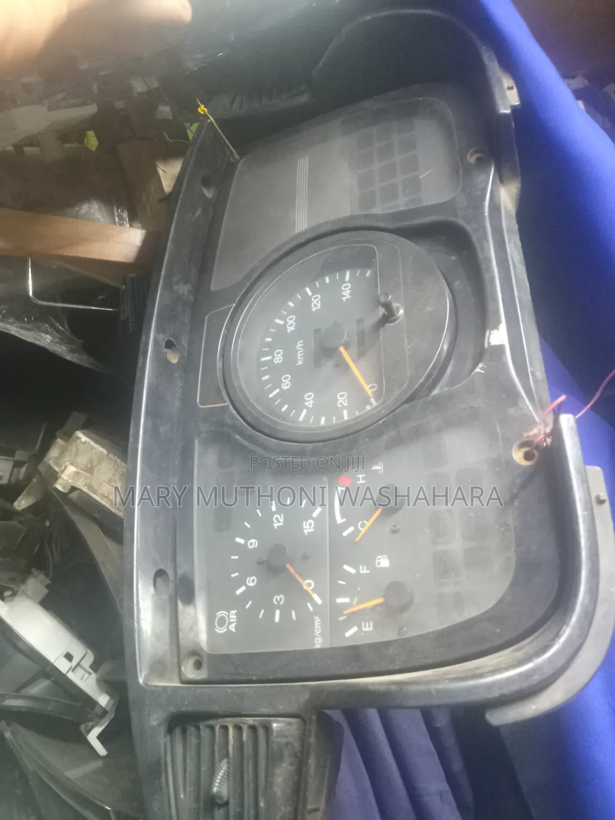 Rhino 500 Speedo Crock
