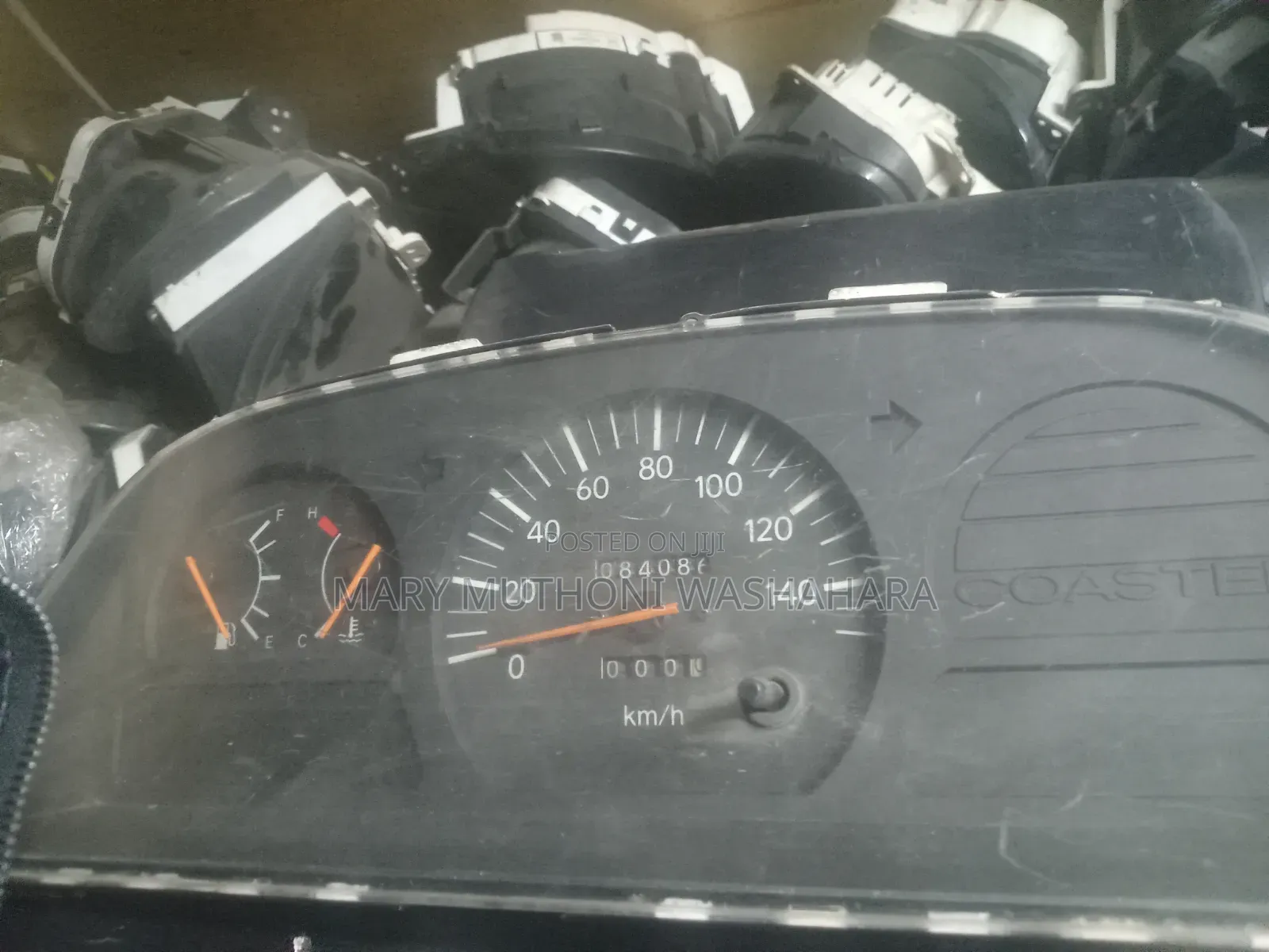 Rhino 500 Speedo Crock