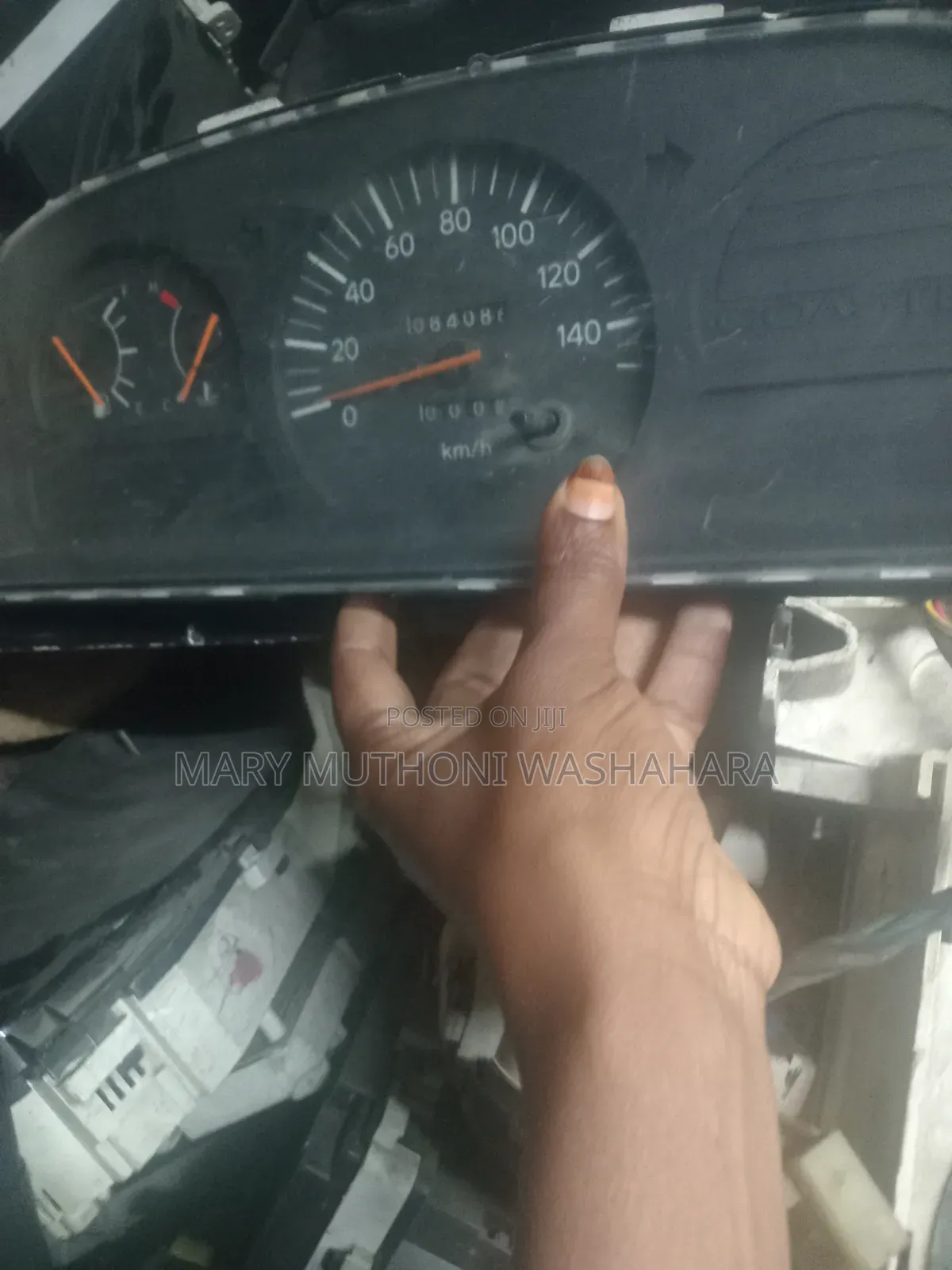 Rhino 500 Speedo Crock