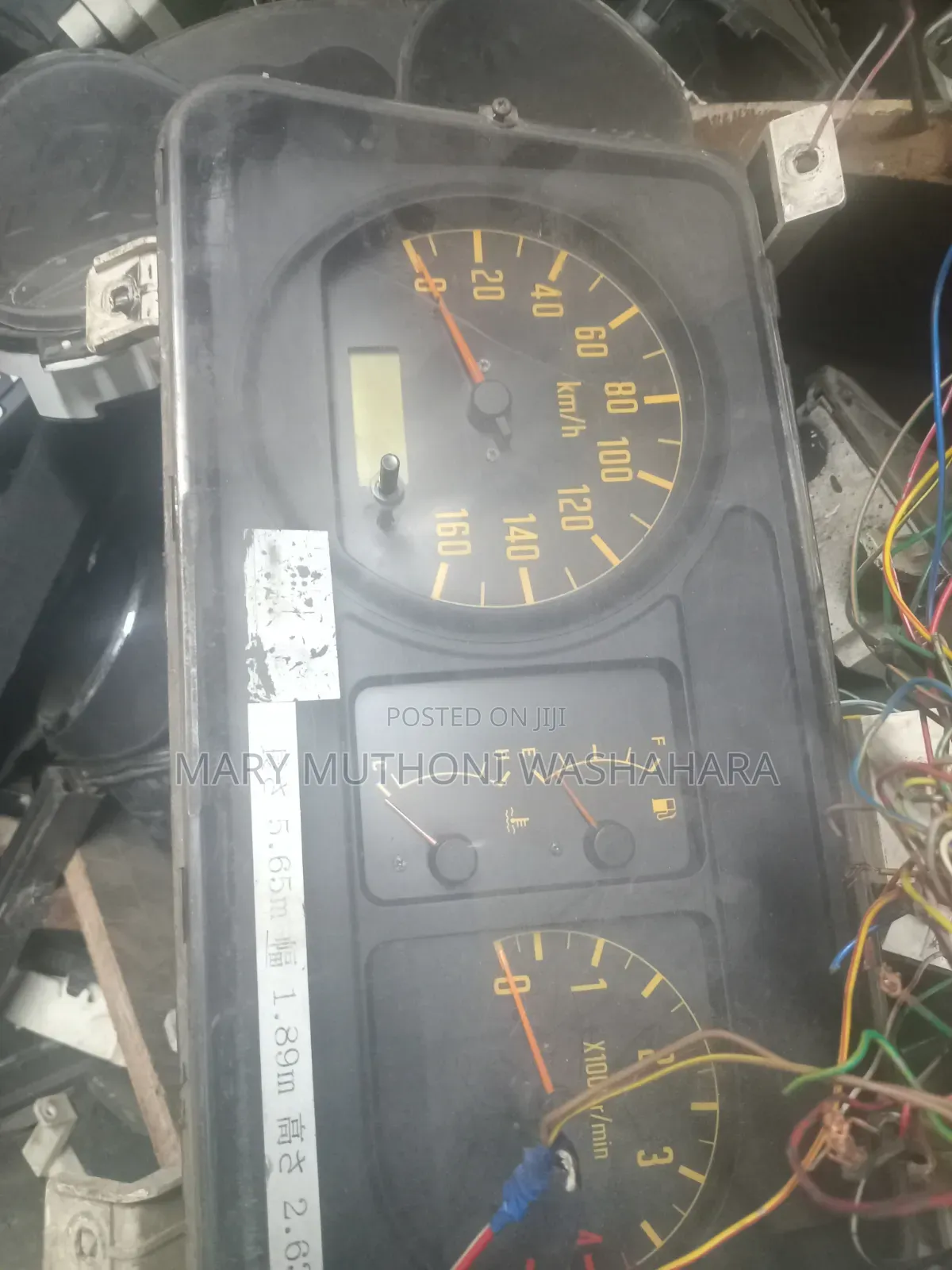 Rhino 500 Speedo Crock