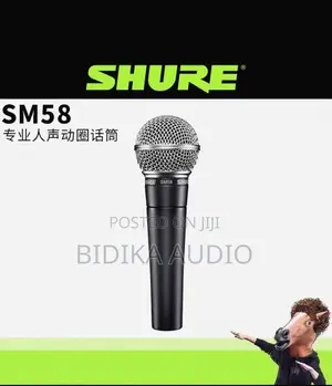 Shure SM58 Legendary Professional Live Sound Microphone