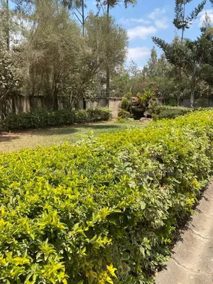 4bdrm Mansion in Ruai for rent