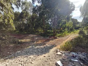 Full 50by100 Gated Comunity in Nguirubi Kamangu Few Meters From Tarmac