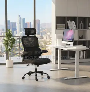 Office Chairs; Orthopedic High Backrest Supportive Lumbar Chairs