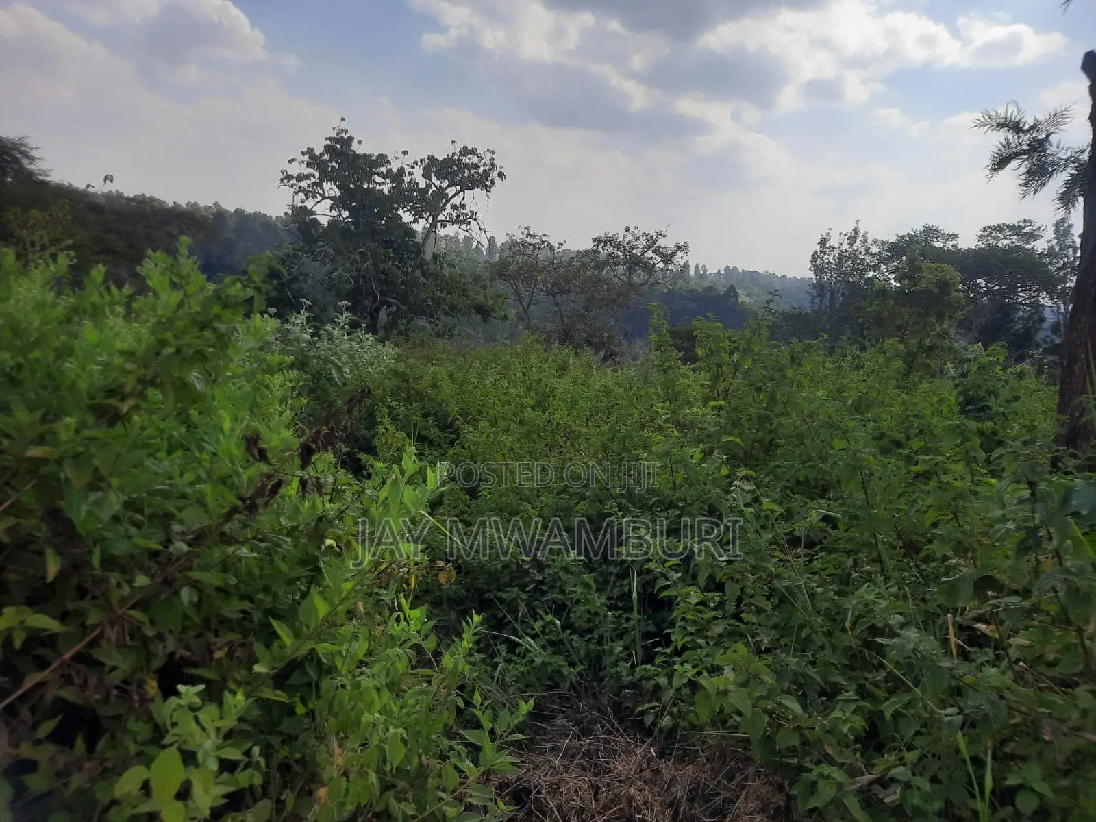 100 Acre Land Kagio Rd - Thika