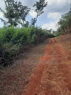 100 Acre Land Kagio Rd - Thika