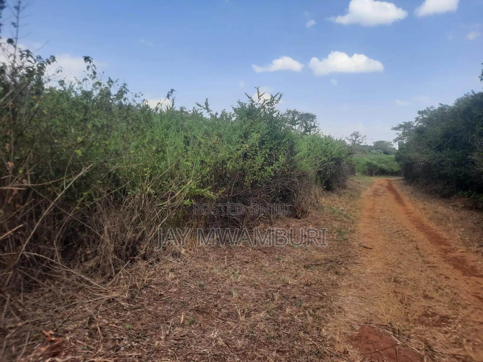 100 Acre Land Kagio Rd - Thika