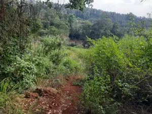 100 Acre Land Kagio Rd - Thika
