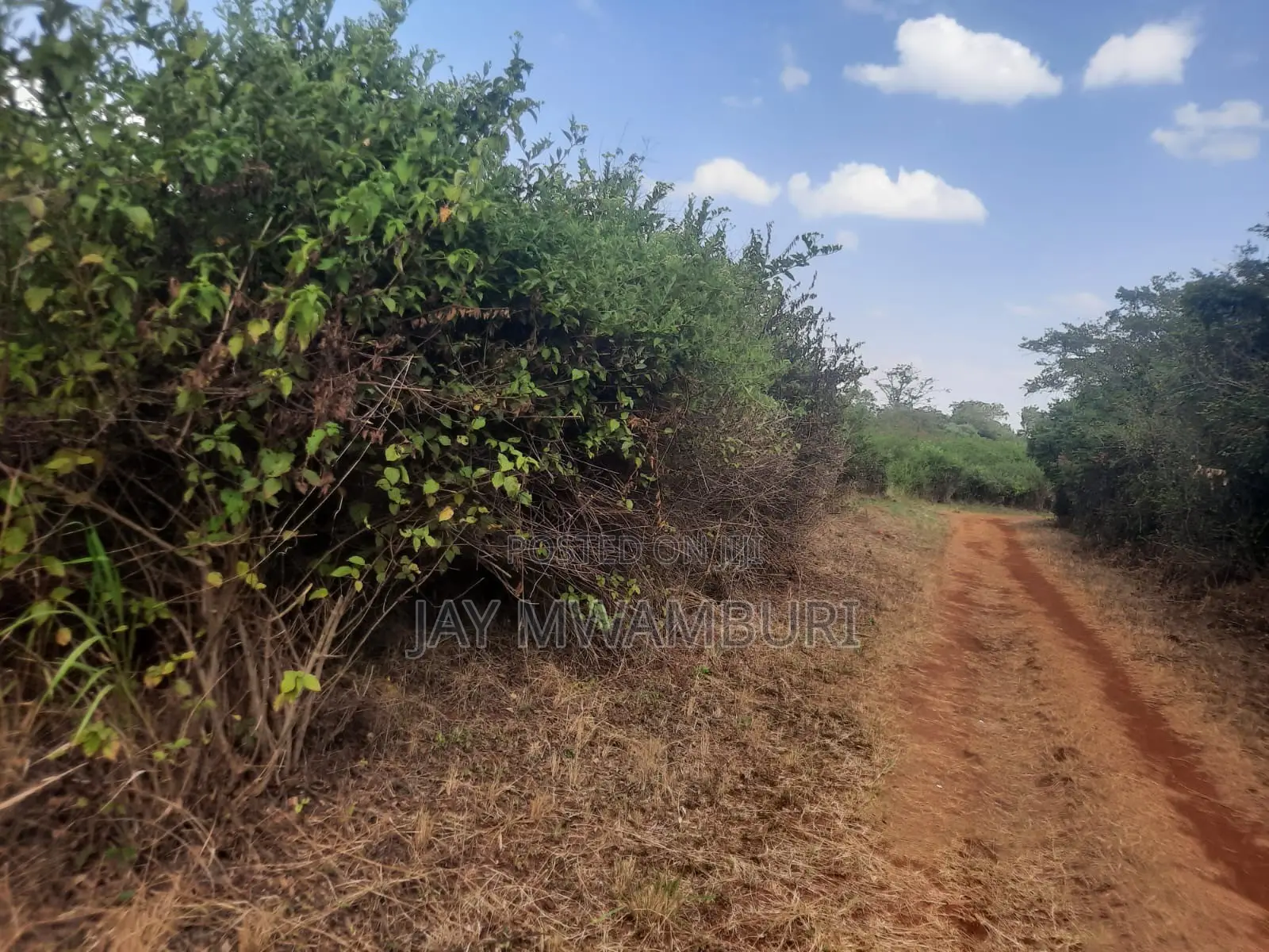 100 Acre Land Kagio Rd - Thika