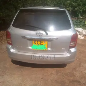 Toyota Corolla Fielder 2009 Silver