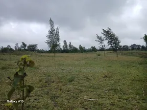 50x100 Plots for Sale Ln Ngong Kimuka.