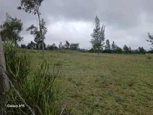 50x100 Plots for Sale Ln Ngong Kimuka.