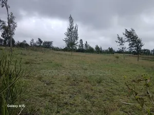 50x100 Plots for Sale Ln Ngong Kimuka.