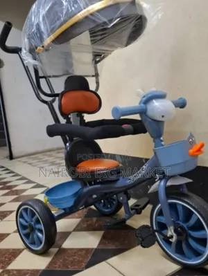 Tricycle With Canopy & Music