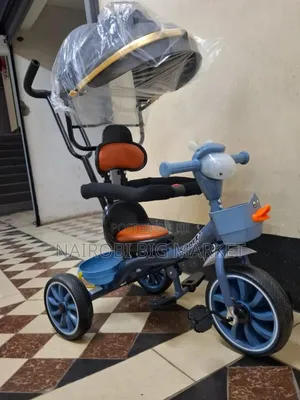 Tricycle With Canopy & Music