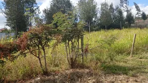 100 by 100 at  Ngong