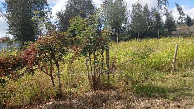 100 by 100 at  Ngong - thumbnail 4