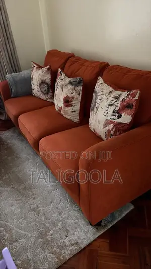 Sofas and Carpet