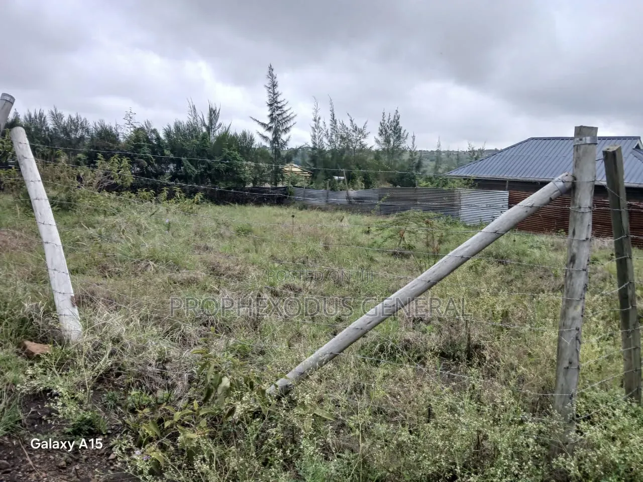 1/8 Residential Plots for Sale in NGONG Kimuka