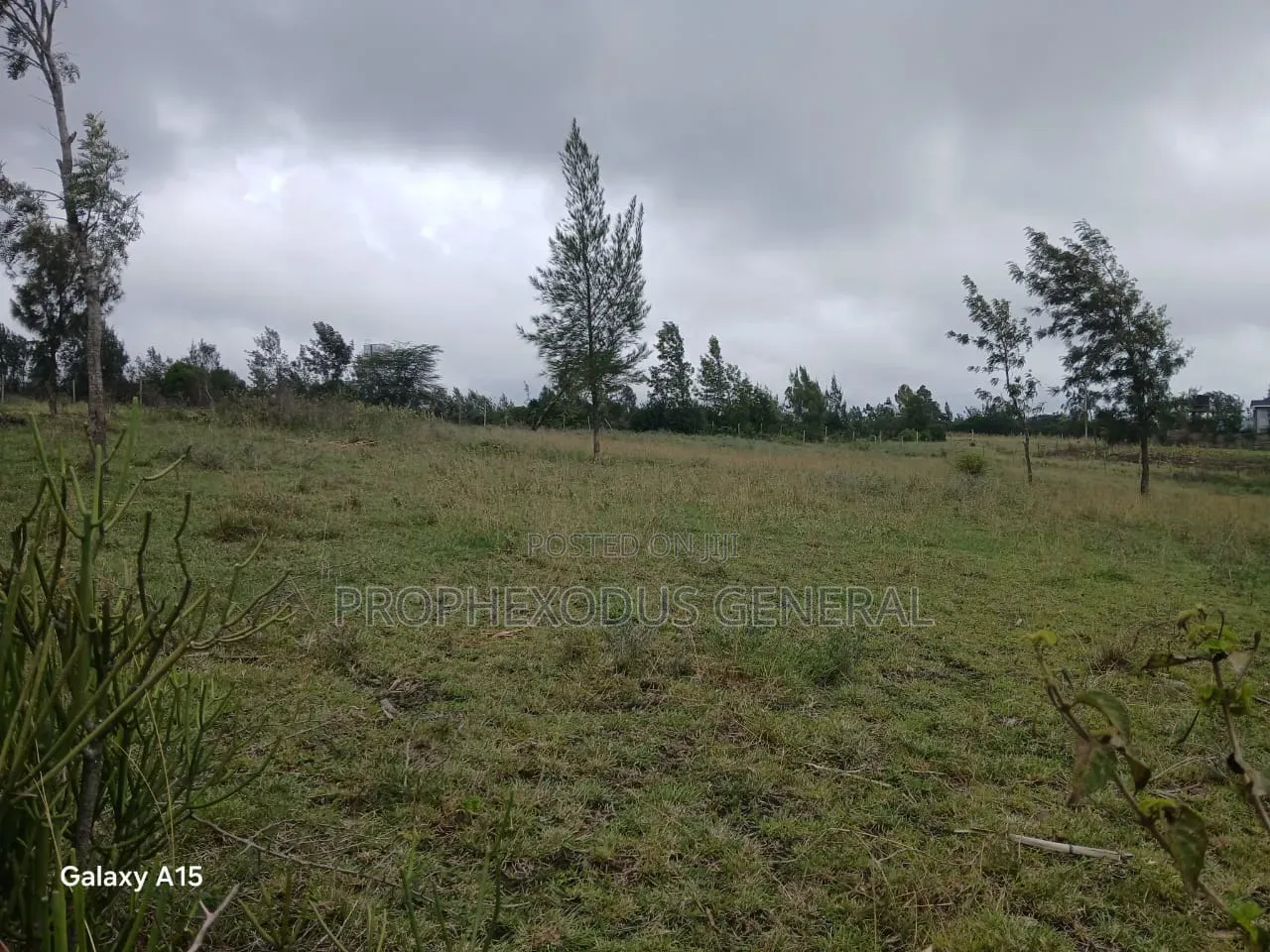 1/8 Residential Plots for Sale in NGONG Kimuka
