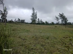 1/8 Residential Plots for Sale in NGONG Kimuka