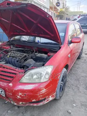 Toyota Corolla RunX 2003 Red