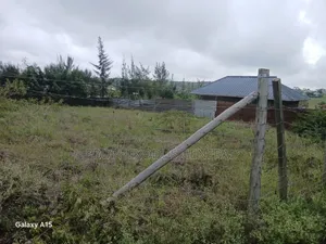 1/8 Residential Plots for Sale in NGONG Kimuka