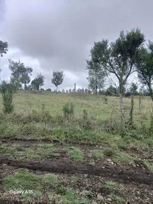 1/8 Residential Plots for Sale in NGONG Kimuka