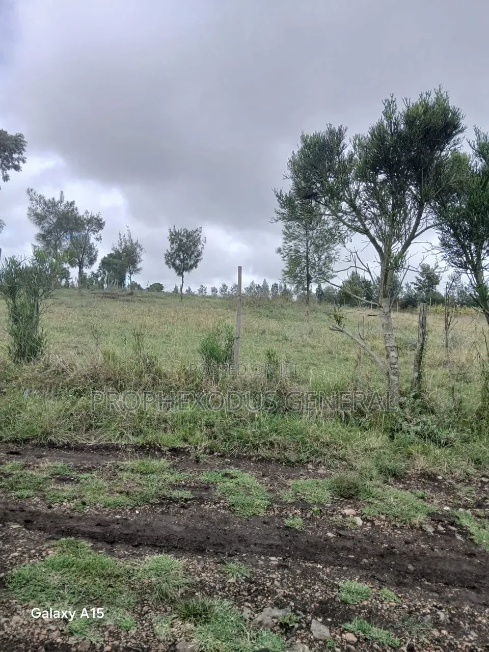 1/8 Residential Plots for Sale in NGONG Kimuka