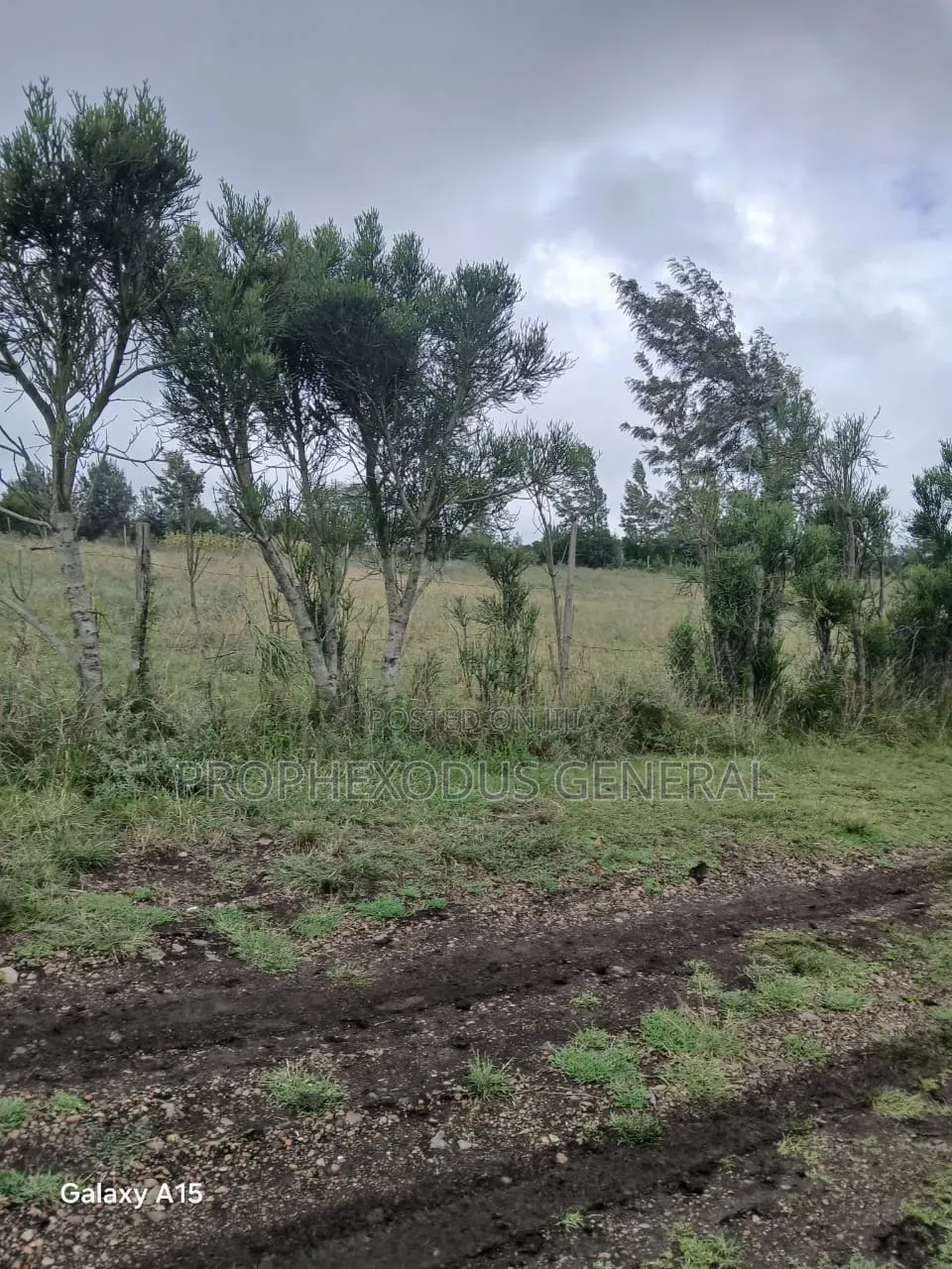 1/8 Residential Plots for Sale in NGONG Kimuka