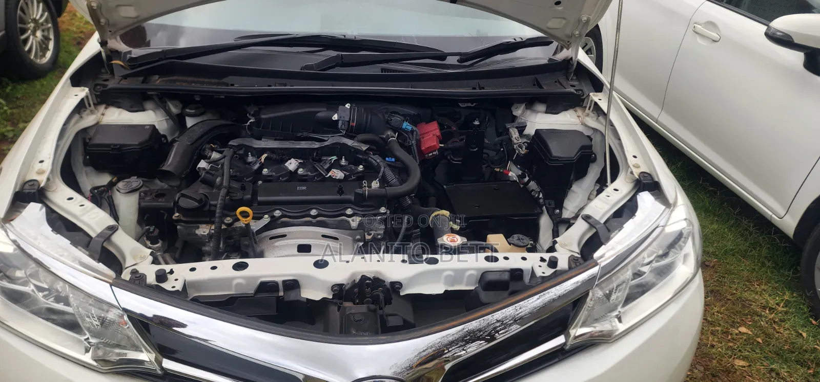 Toyota Axio 2019 White